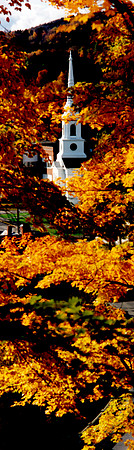 Fall Exterior