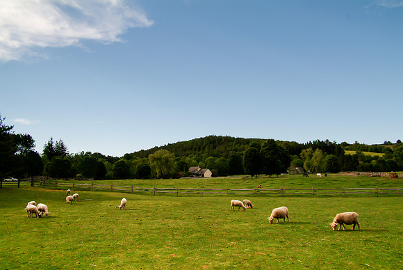 Woodstock- Billings Farm-3760