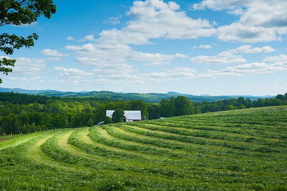 Maple Grove Farm - Derby, Vt_REB4353
