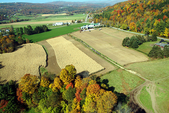 Farming