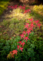 untitled-2586