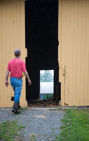 Bos-Haven Farm  Verbank, NY_REB3608