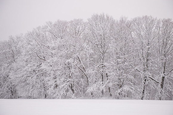 Big Storm_RED5119