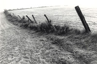 FenceElipse 10x15