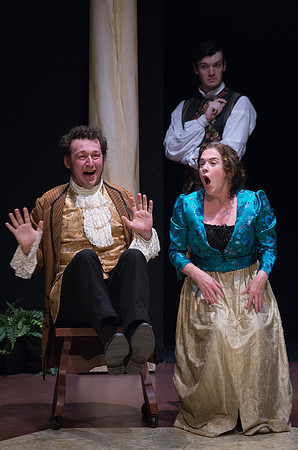 Sense and Sensibility - LNT_RED9960