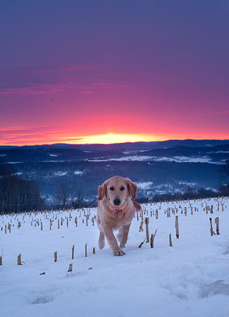 Ruby Sunrise-6689