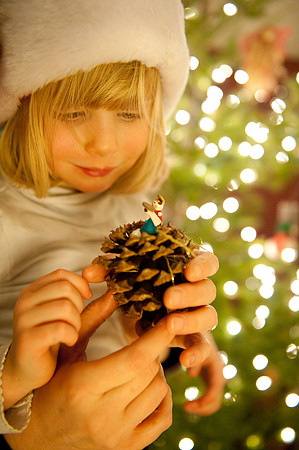 Eddy Xmas Decoration-5970