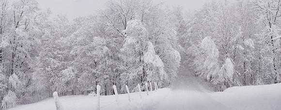 Big Storm_RED5036EE
