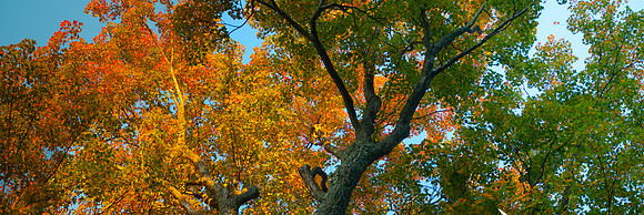 Fall Details_REC6096E
